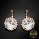 Komplekts "Apžilbinošs Spīdums III" ar Swarovski™ kristāliem