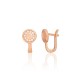 Gold Cubic Zirconia Earrings “Moon Circle”