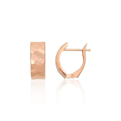 Gold Earrings “Classic XIV”