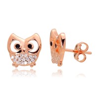 Laste hõbedased kõrvanaastud tsirkoonidega „Owl“