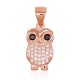 Sudraba kulons ar cirkoniem „Owl V“