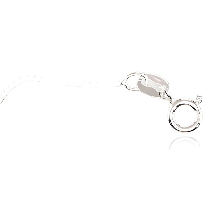 Itāļu sudraba ķēdīte „Cartier XXVII“