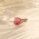 Sidabriniai auskarai „Baroque VII (Rose Peach)“ su Swarovski® kristalais