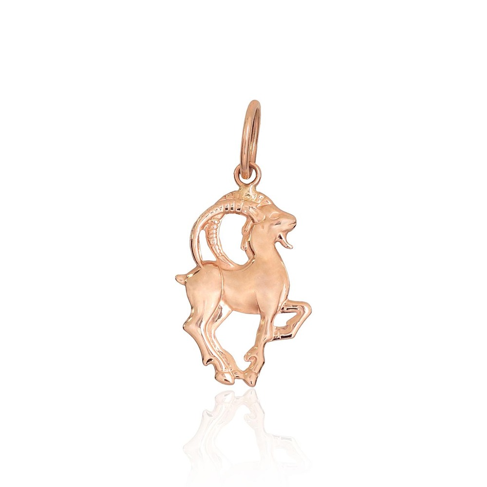 Auksinis zodiako ženklo pakabukas „Ožiaragis V“